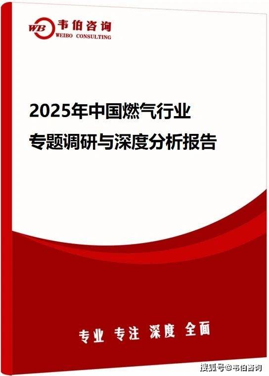 韦伯咨询：2025年中国燃气行业专题调研与深度分析报告（发布）