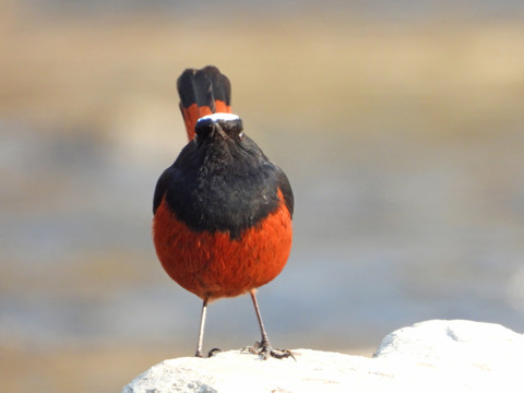 一周、10天、15天